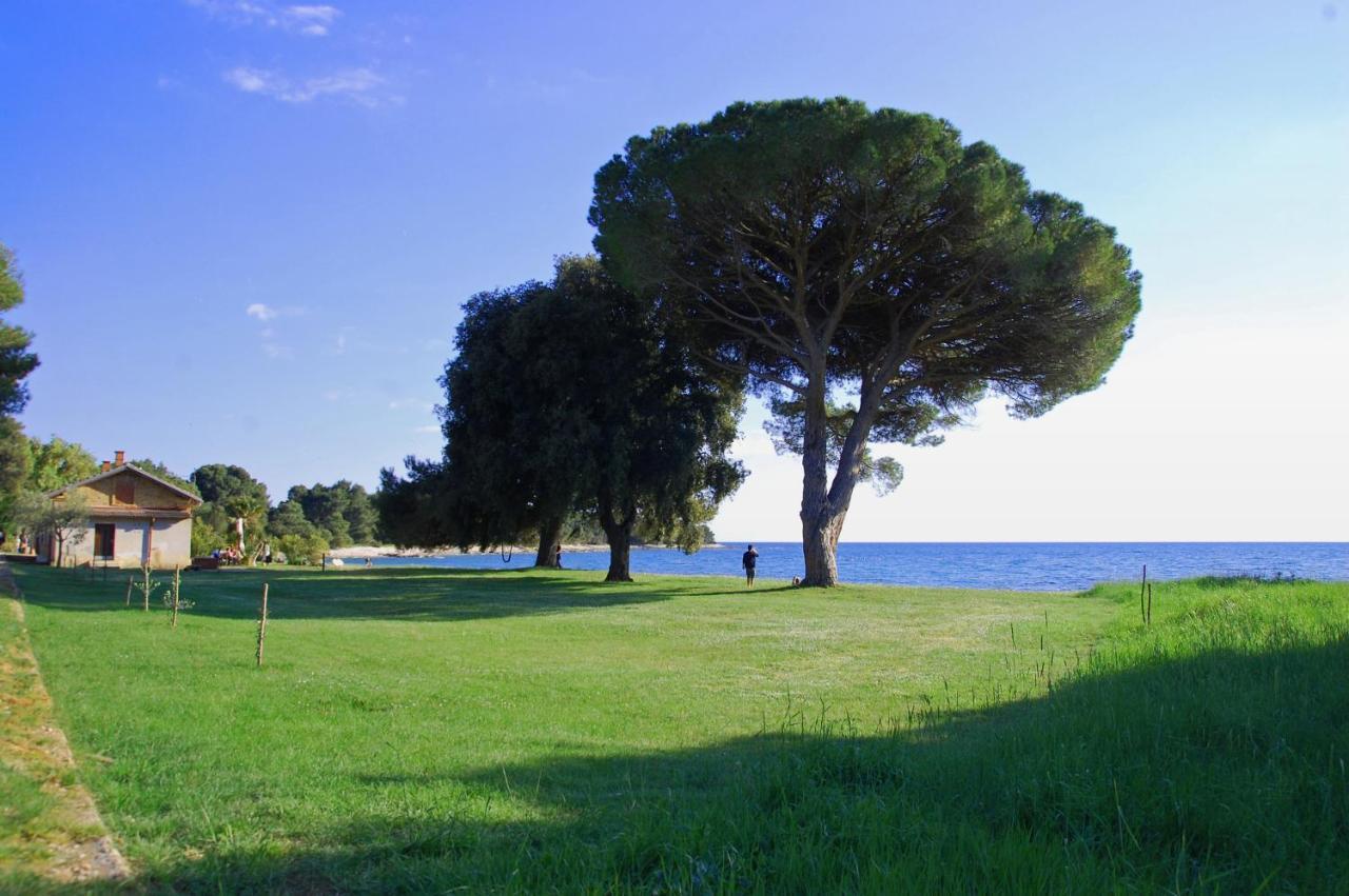 Family Beach Apartments Peroj Zewnętrze zdjęcie